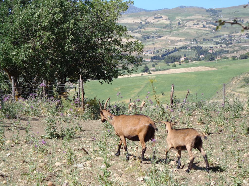 Agriturismo San Pietro Gangi Luaran gambar