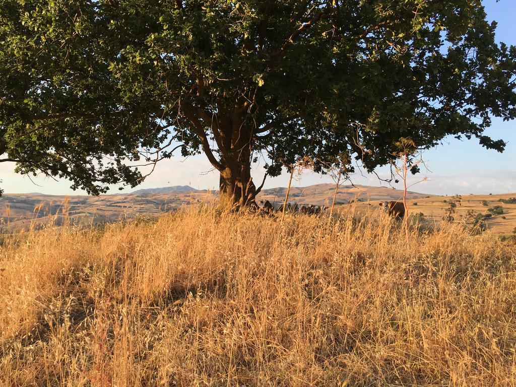 Agriturismo San Pietro Gangi Luaran gambar